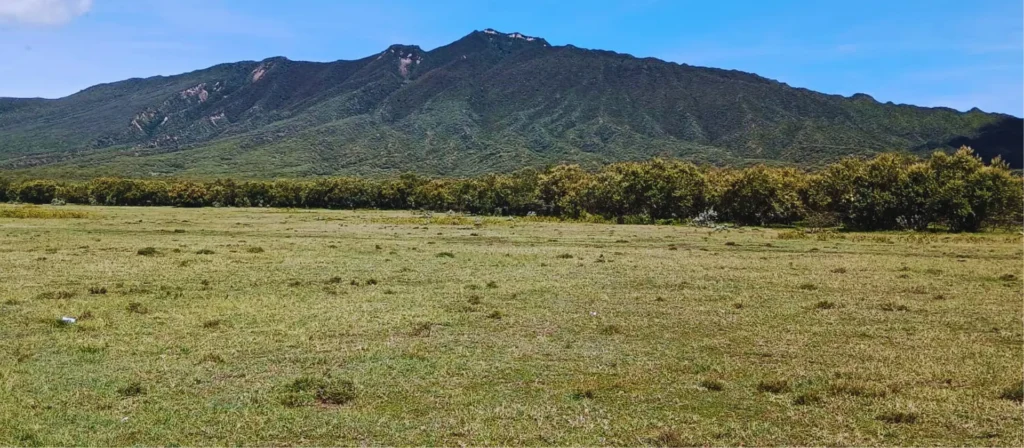 1_4_acre_serenity_homes_longonot_001_image