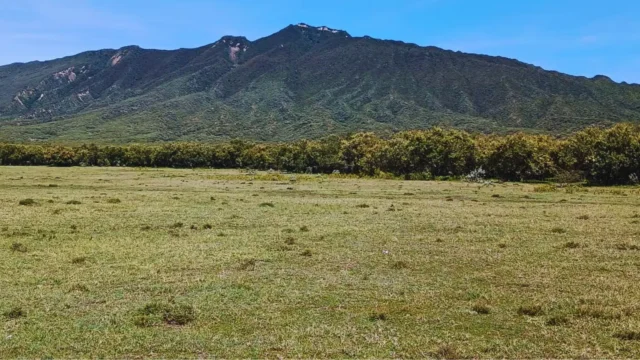 1_4_acre_serenity_homes_longonot_001_image