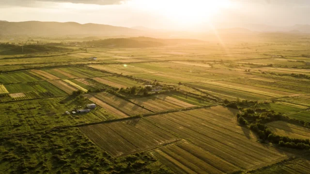 lukenya_gated_community_001_image